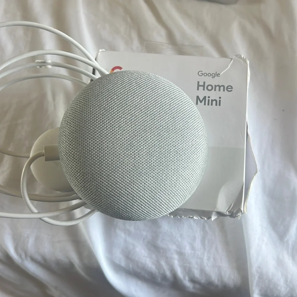 Home mini google